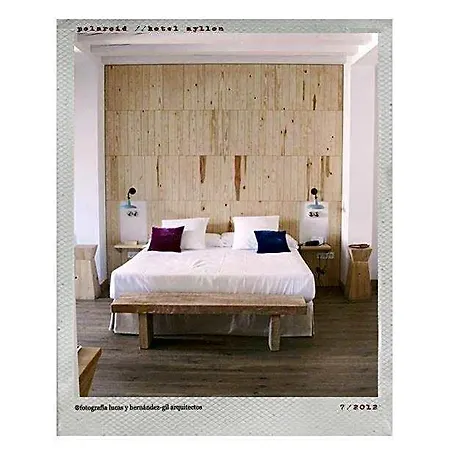 Hotel Ayllon 4*